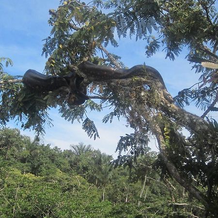 Jamu Lodge Puerto Montufar Bagian luar foto