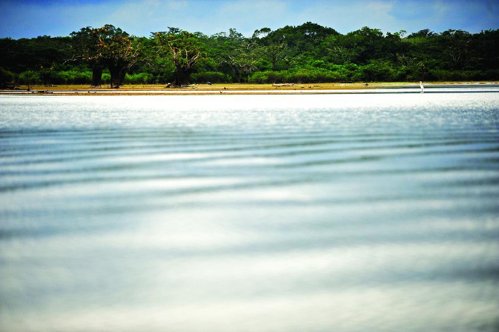 Jamu Lodge Puerto Montufar Bagian luar foto